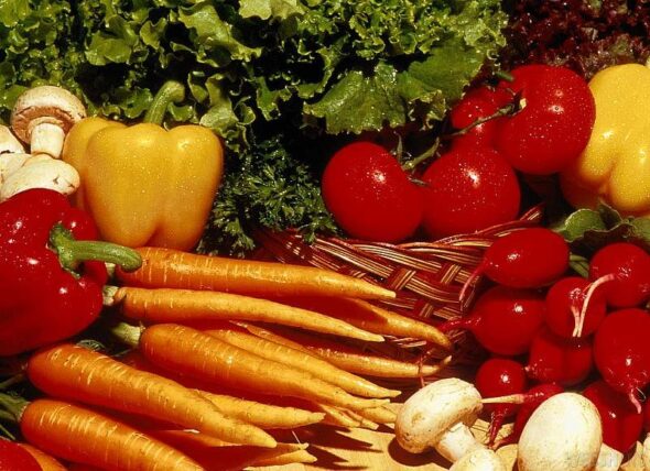Sumaiya Nutritionist