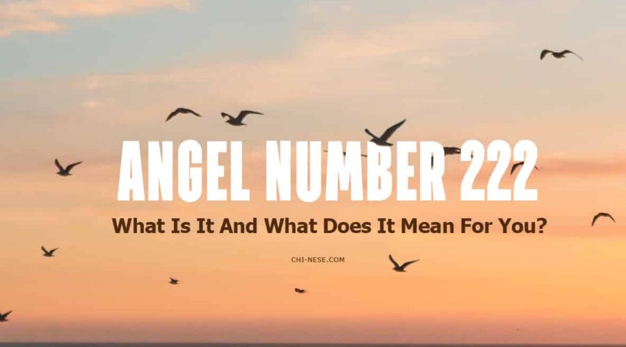 The Meaning Of Angel Number 222 And Its Divine Importance In Your Life